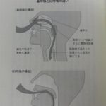 健康に欠かせない３つのこと その3