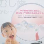 むし歯探知装置