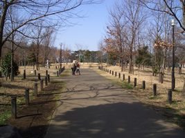公園 公園