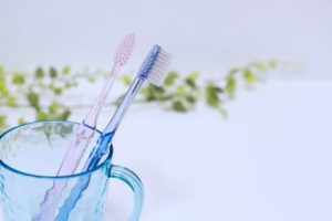 ドックベストセメント治療についてその１