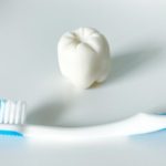 ドックベストセメント治療についてその3