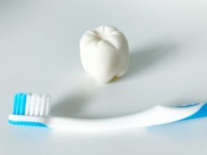 ドックベストセメント治療についてその3