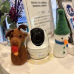 院内もクリスマスらしく